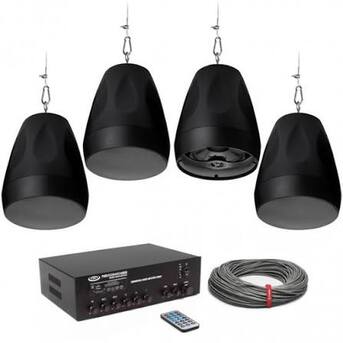 New York, Business, Suspended Ceiling Speakers | Apex American Audio