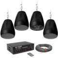 Suspended Ceiling Speakers | Apex American Audio