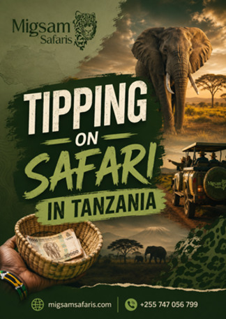 Dar es Salaam, Travel, Complete Guide To Tipping On Safari In Tanzania