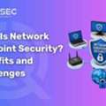 What Is Network Endpoint Security? Benefits And Challenges