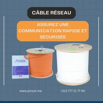 Algiers, Computers, Câble Reseau : Assurez Une Communication Rapide Et Sécurisée