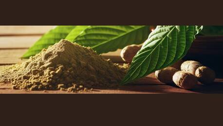 New York, Health & Beauty Items, Exploring Popular Botanical Combinations
