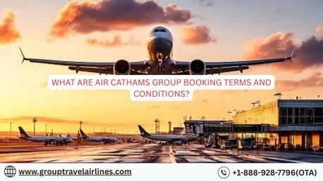 New York, Travel, What Are Air Cathams Group Booking Terms And Conditions?