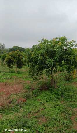 Hyderabad, Agricultural Land, INR 6680000,  2904 Sq. Yard,  2904 Sq Yard Land For Sale At Shadnagar To Pargi 4Lane Highway 1 KM