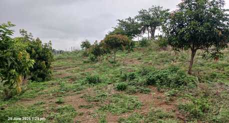 Hyderabad, Agricultural Land, INR 6680000,  2904 Sq. Yard,  2904 Sq Yard Land For Sale At Shadnagar To Pargi 4Lane Highway 1 KM