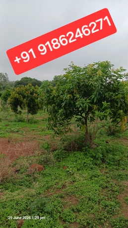 Hyderabad, Agricultural Land, INR 6680000,  2904 Sq. Yard,  2904 Sq Yard Land For Sale At Shadnagar To Pargi 4Lane Highway 1 KM