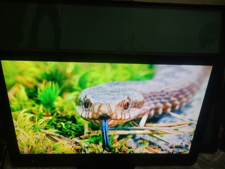 Riyadh, Electronics, SAR 110,  32 Inch Television