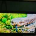 SAR 110,  32 Inch Television