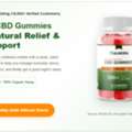 USD 32,  Calmora CBD Gummies Reviews: Does It Truly Improve USA Sleep Quality?