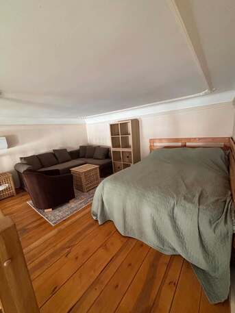 Budapest, Apartments, Flats, Houses & Villas, HUF 250/month,  Furnished,  1 BR,  48 Sq. Meter,  Elegant Loft Apartment For Rent By Owner In The Heart Of Budapest