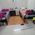 SAR 300/month,  1012 Sq. Meter,  Bed Space Available -300 SAR/ MONTH