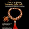 Best Rudraksha Shop In Hyderabad