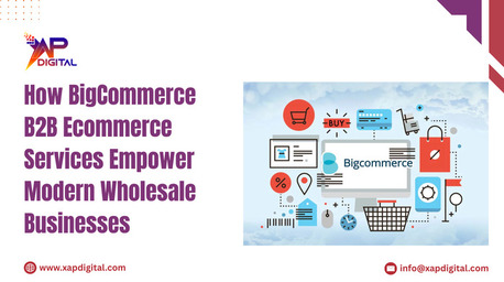 Noida, Business, How BigCommerce B2B Ecommerce Services Empower Modern Wholesale Businesses