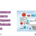 How BigCommerce B2B Ecommerce Services Empower Modern Wholesale Businesses