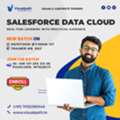Salesforce Data Cloud Online Training &ndash; New Batch Starts
