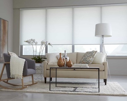 New York, Business, Bloomin Blinds Of Boise