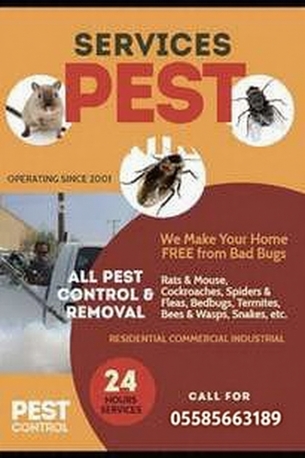 Riyadh, Pest Control, # Professional Save Pest Control Spray With Best Price Service 0558563189