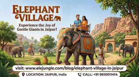 Jaipur, Travel, Discover Hathi Gaon: India&rsquo;s First Dedicated Elephant Haven