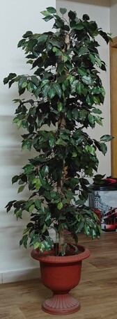 Al Malaz, Household Items, SAR 550,  Dell Flat Monitor 25", Green Plant🌿, Kids Swing, Kitchen Table, Beautiful Side Sofa Table