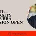 DY PATIL UNIVERSITY ONLINE BBA Admission Open