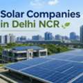 Looking For The Trusted Solar Company In Delhi