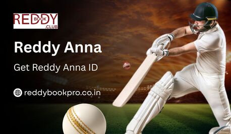 Mumbai, Accounting, Reddy Anna