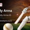 Reddy Anna