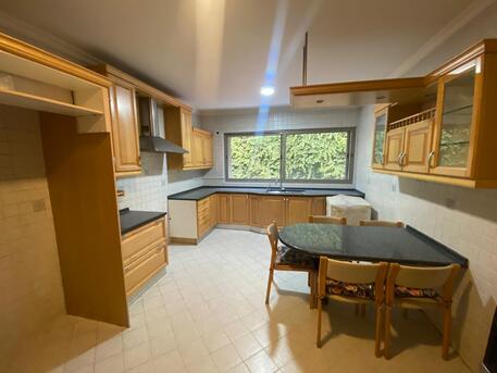 Amman, Apartments, Flats, Houses & Villas, JOD 18000/year,  4 BR,  260 Sq. Meter,  Semi Ground Floor Apartment For Rent In Jabal Amman