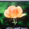 SAR 300,  300 SR SAMSUNG LED TV 40