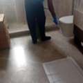 Low Cost Pest Control Services Townhouses Dubai