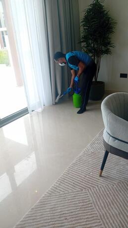Dubai, Pest Control, Low Cost Pest Control Services Townhouses Dubai