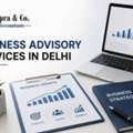 Expert Business Advisory Services In Delhi For Sustainable Business Growth