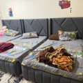 SAR 1000, House Hold Items For Sale