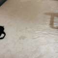 SAR 300,  Good Condition Matress