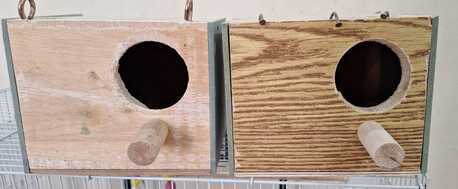 Al Rehab, Materials, SAR 195,  Cages For Birds (different Sizes) & Birds Houses