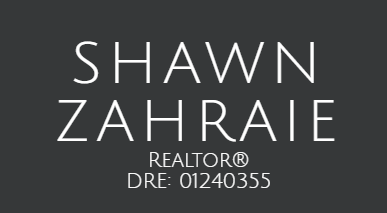 New York, Real Estate, Shawn Zahraie, Realtor