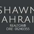 Shawn Zahraie, Realtor