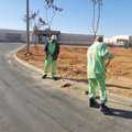 Street And Road Cleaner Required
