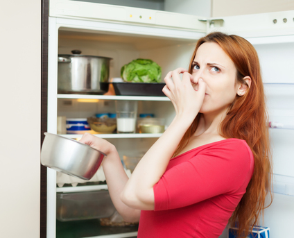 Tbilisi, Appliance Repair, Samsung Fridge Not Cooling? Fast & Reliable Repair In Atlanta