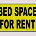 SAR 400/month,  Bed Spaces Available