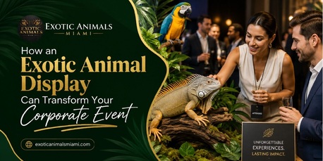 Miami, Business, How An Exotic Animal Display Can Transform Your Corporate Event