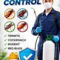 PEST CONTROL💙WITH 💙BED BUG'S AND COCKROACH'S KILLING SOLUTION BEST PRICE=(0507885508)⛺️2