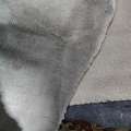 SAR 400,  2 New Carpet For Sale