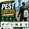 🛡️✨ 100% Safe • ⚡ Fast Response • 🌿 Eco-Friendly • 👨‍🔧 Certified Experts • 🕒 24/7 Eme