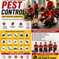 🏆 Premium Pest Control 🛡️ • ⚡ Same-Day Service • 🌿 Safe Treatment • 👨‍🔧 Cer