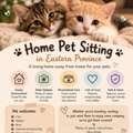 🐾 A Second Home For Your Beloved Pet In Eastern Province ❤️🏡