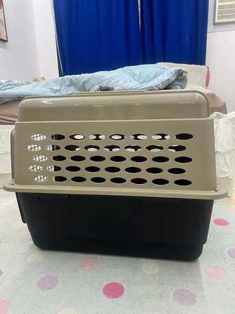 Adliya, Pet Supplies, BHD 35,  Petmate Vari Kennel 32" Dog Travel Crate