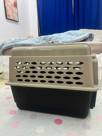 Adliya, Pet Supplies, BHD 35,  Petmate Vari Kennel 32" Dog Travel Crate