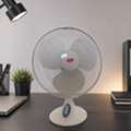 SAR 99,  Fan