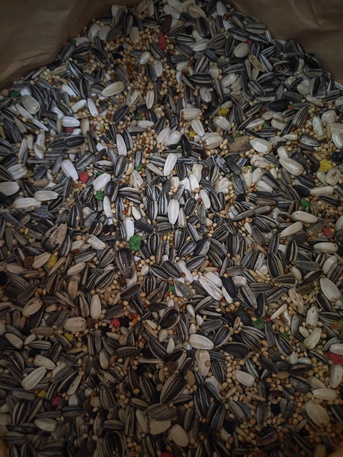 Riyadh, Pet Supplies, SAR 108,  Premium Parrot Feed For Sale